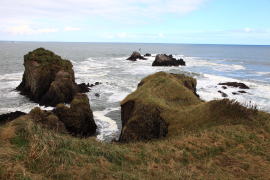 �����z��