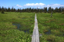 ���R����