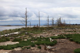 �g�h����