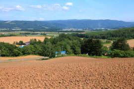 ���]�̋u�E����