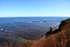 �\�斦����]�ރI�z�[�c�N�C