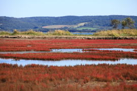 ���ݑ��E�K����