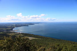 �T���}�ΓW�]�䂩��̃T���}��