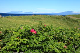 �����������ԉ�