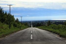 �V�ɑ�����