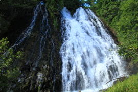 �I�V���R�V���̑�