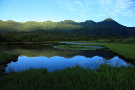 �m���܌ӂƒm���A�R