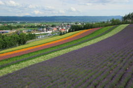 �ʂ�̔��E�t�@�[���x�c