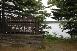 �J���C�g���E����