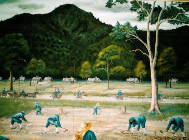 �ԓc���E�����V�c�s�[�}