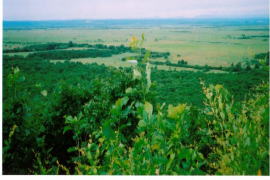 �׉��W�]�䂩��̋��H����