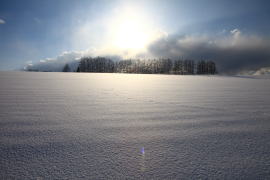 �}�C���h�Z�u���̓~�̕��i