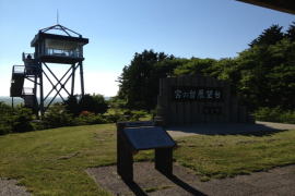 �{�̑�W�]��