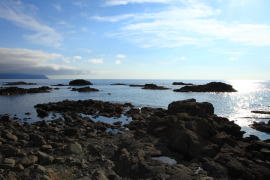 �������C�l����