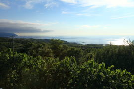 ��]�䂩�猩�����{�C