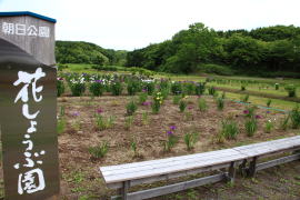 ���������ԏҊ���