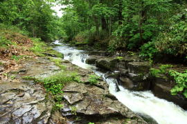 �����̑�E���[