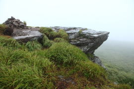 ���x�E���[