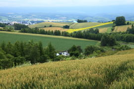 ���]�̋u�E����