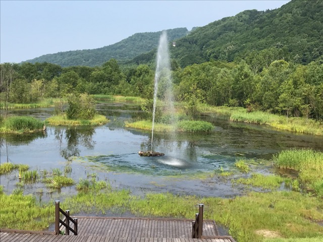 ���F�̕���