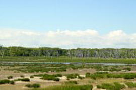 �i������