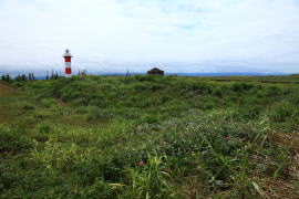 �͂܂Ȃ��̋u�����E�Ύ�