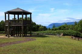 �����ʓW�]��