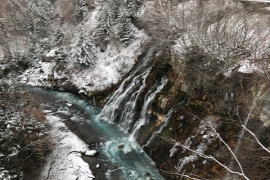 �~�̔��Ђ��̑�