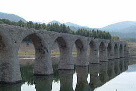 �^�E�V���x�c����