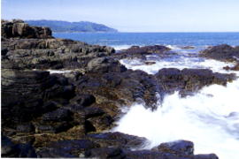 �E�X�^�C�x����E�}�K