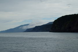 �m������