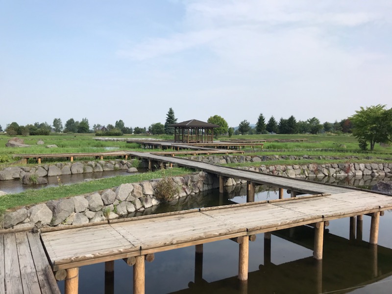 ����V������